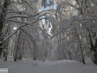 2017-12-29 V. del Morretano 059